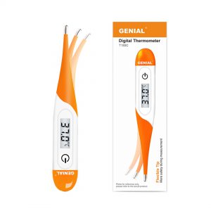 Genial Digital Thermometer